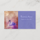 Recherche de cygnes cartes visite Oiseau