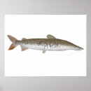 Recherche de amazonie posters Amérique du sud