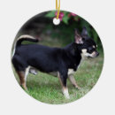 Recherche de chien de chiwawa ornements Plomb et pam langrish
