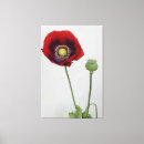 Recherche de opium posters Culture