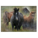 Recherche de grange planches à découper Vintage