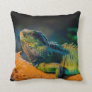 Recherche de reptile coussins Iguane