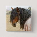 Recherche de crinière badges Cheval
