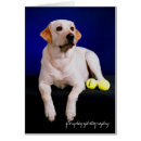Recherche de labrador heureux Extracteur