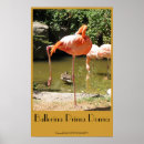 Recherche de prima ballerina posters Ballerine