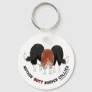 Recherche de border collie accessoires Colley