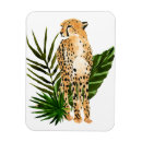 Recherche de animal sauvage magnets Grand chat
