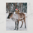 Recherche de écureuil de noël cartes postales Yule