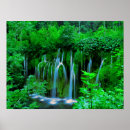Recherche de forêt tropicale posters Plantes