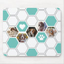 Recherche de turquie tapis souris Mignon