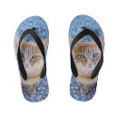 Recherche de chaton tongs Animal