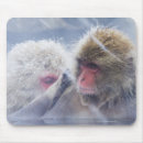 Recherche de honshu tapis souris Le japon