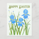 Recherche de iris cartes postales Fleurs d'iris