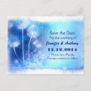 Recherche de pissenlit bleu invitations Pissenlits