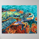 Recherche de de tortue art Tortues de mer