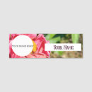 Recherche de macro bureau fournitures Plante