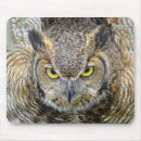 Recherche de hibou cornes tapis souris Photographie