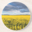 Recherche de agriculture dessous de verres Été