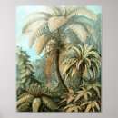 Recherche de haeckel posters Filicinae