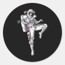 Recherche de thai autocollants Jiu jitsu