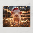 Recherche de bécasse cartes postales Animal