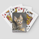 Recherche de chaton jeux de cartes Photographie