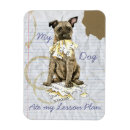 Recherche de néerlandais magnets Hollandse herder