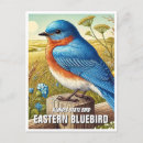 Recherche de oiseau bleu oriental cartes postales Oiseaux