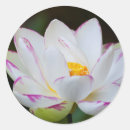 Recherche de georgie autocollants Personne