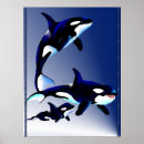 Recherche de épaulard posters Animaux