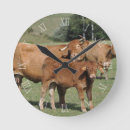Recherche de agriculture horloges Vaches