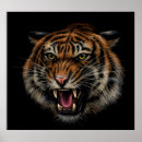 Recherche de visage lion posters Tigre