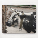 Recherche de vache brune tapis souris Noir