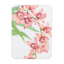 Recherche de feuillage vert magnets Aquarelle
