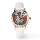 Recherche de dalmation Dalmate