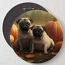 Recherche de chiots carlin badges Animal