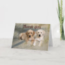 Recherche de chiot labrador retriever vœux cartes Laboratoires