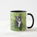 Recherche de bouledogue américain tasses Canin