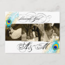Recherche de peacock mariages Noir