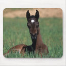 Recherche de fixation tapis souris Se coucher