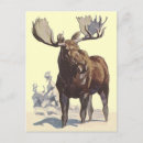 Recherche de projet cartes postales Hiver