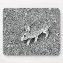 Recherche de dessins crayon tapis souris Illustration