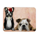 Recherche de anglais magnets Bouledogue
