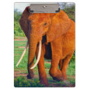 Recherche de éléphant porte blocs Animaux