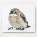Recherche de oiseaux mignons tapis souris Pour tous