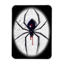 Recherche de veuve magnets Araignée