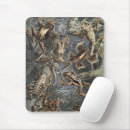 Recherche de grenouille vintage tapis souris Academia sombre