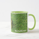 Recherche de têtard tasses Nature
