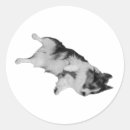 Recherche de cale autocollants Cale de chien