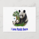 Recherche de love panda cartes postales Pandas